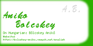 aniko bolcskey business card