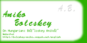 aniko bolcskey business card